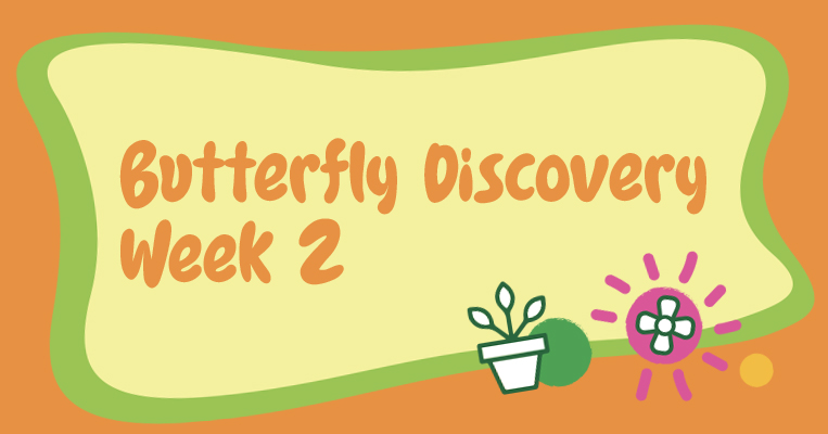 GardenClub web event graphic Week 2