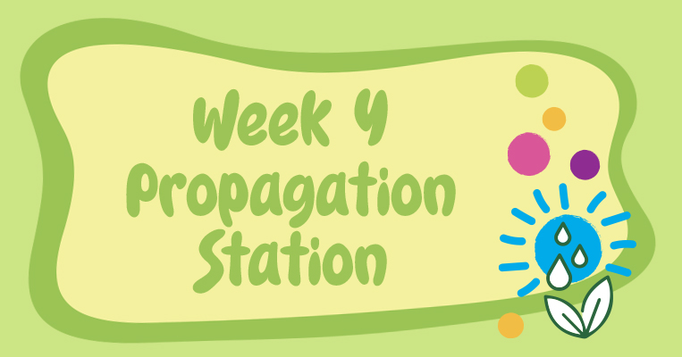 GardenClub web event graphic Week 4