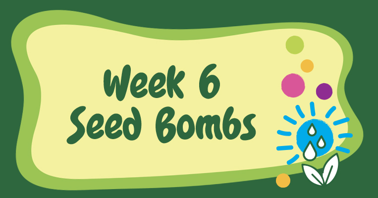 GardenClub web event graphic Week 6