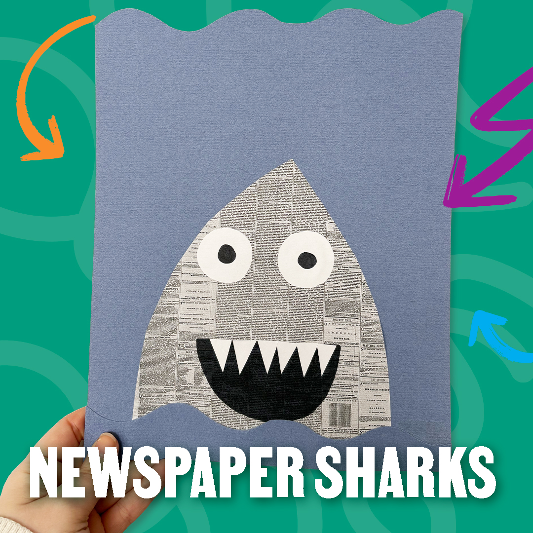 2026 Drop In Craft Shark 1 SQ for Web v2