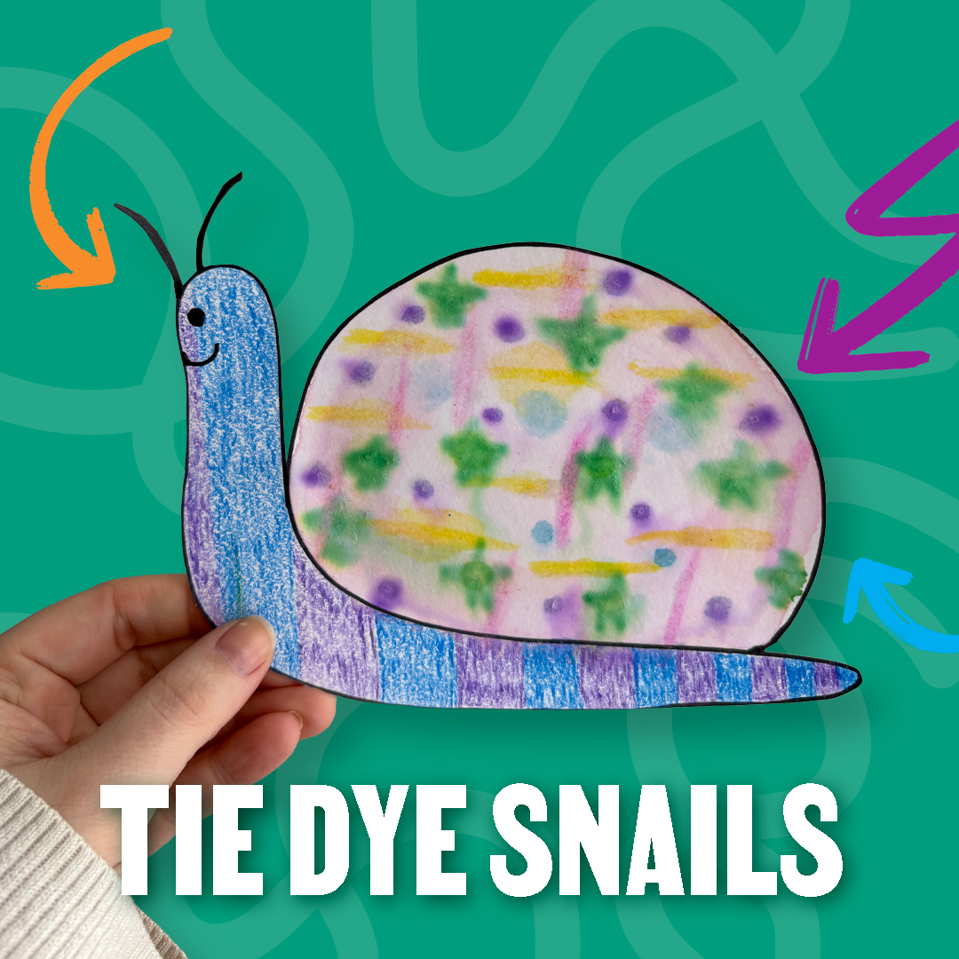 2026 Drop In Craft Snail 1 SQ for Web