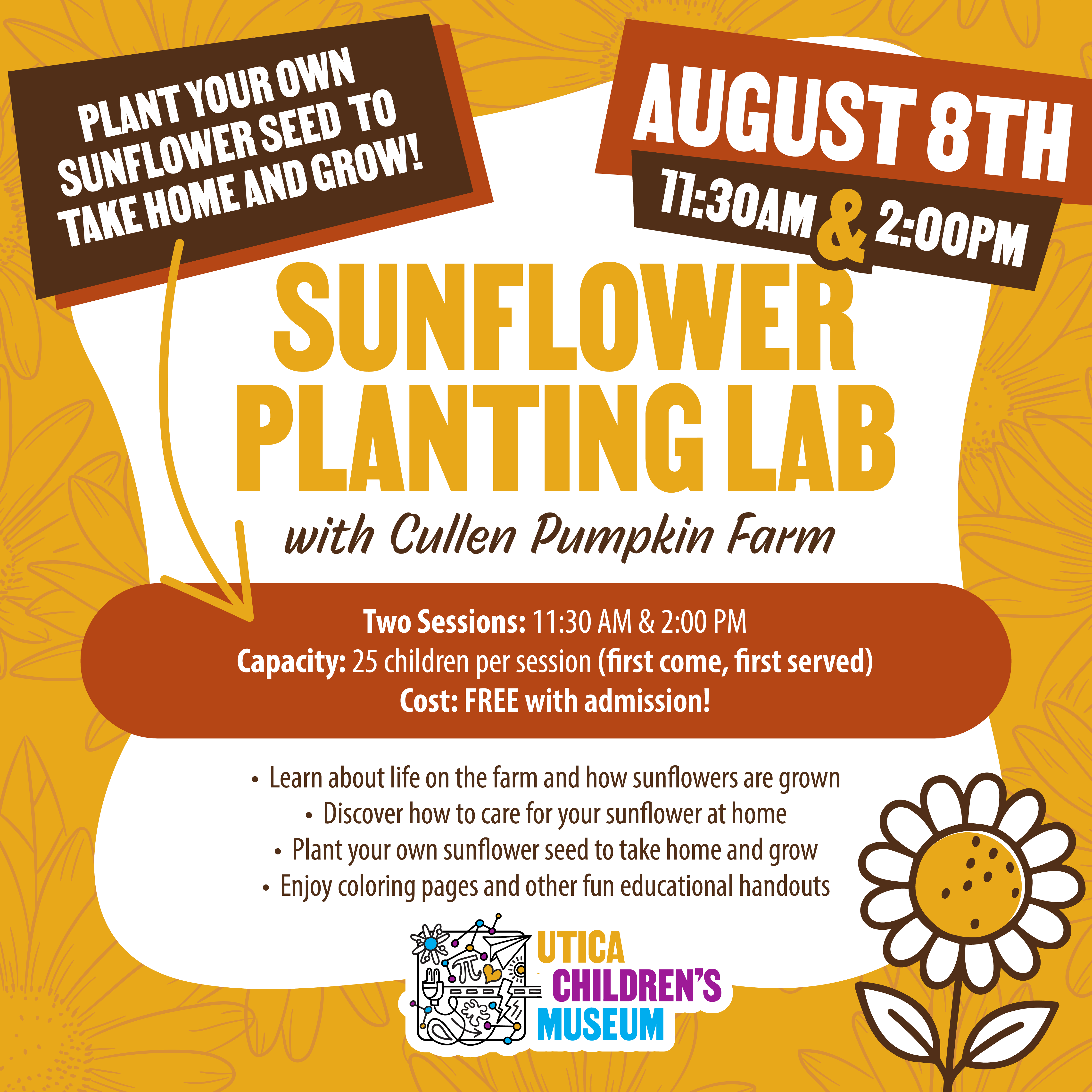 Sunflower Planting Post